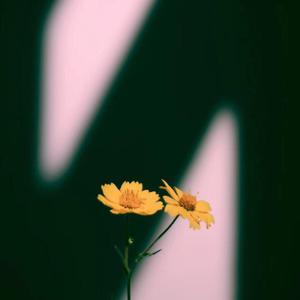 国产福利在线看
