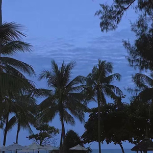 国产福利在线看
